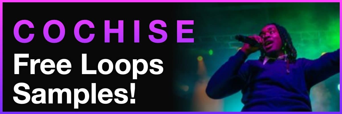 Cochise free loops samples banner with Cochise performing on stage”